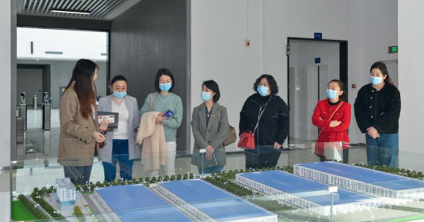 山東傳媒職業學院電商直播教師團隊一行蒞臨博科集團交流座談