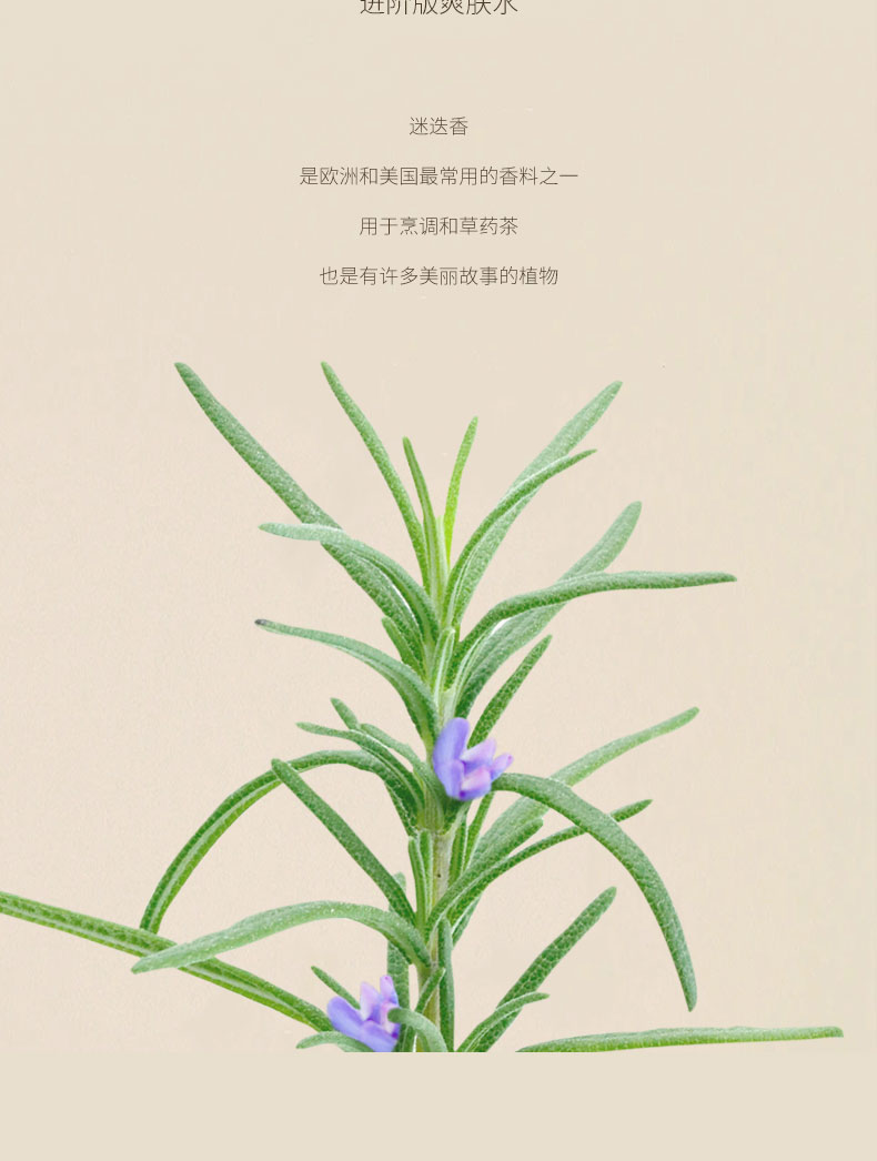 詳情頁_03.jpg